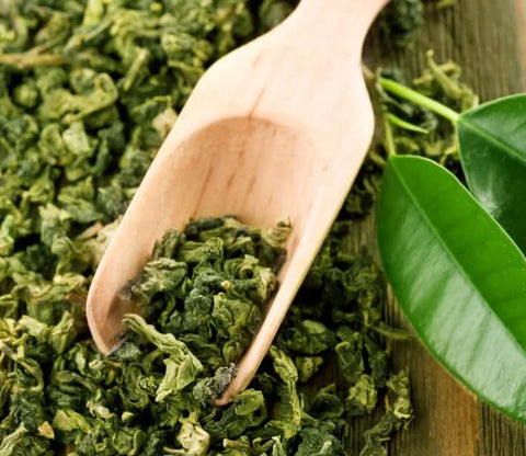 green tea polyphenol antioxidants best for skin care