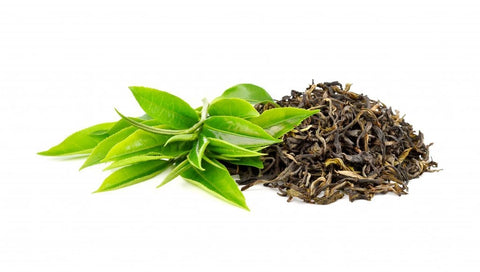 green tea skin benefits