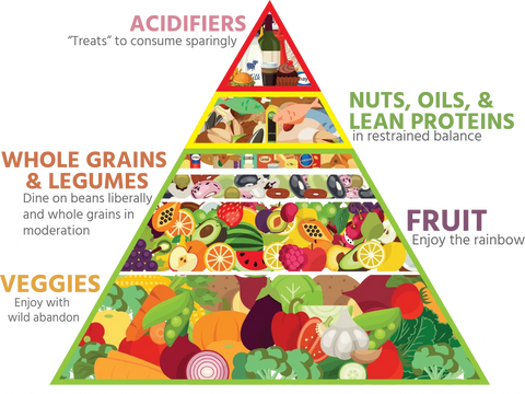 vitamins and minerals from alkaline diet for skin 