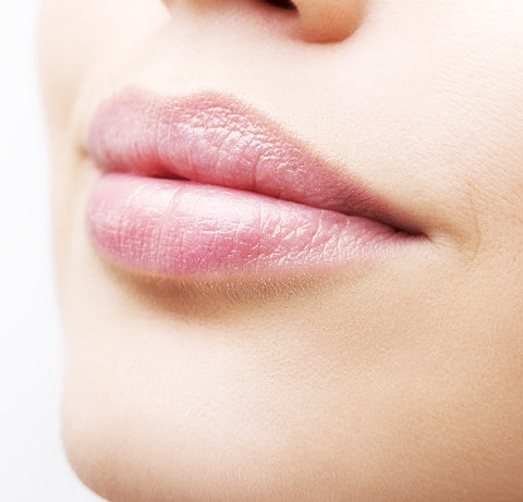 lip care products healing