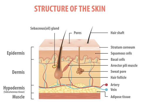 skin sun damage in your 20s 30s and 40s from UVA