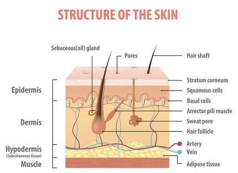 what causes loss of skin firmness