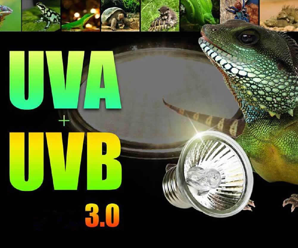 Lâmpada UVA / UVB para Répteis, Anfíbios, Aracnídeos e Plantas