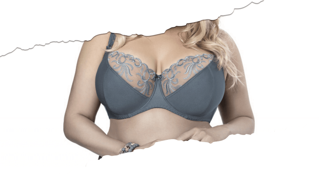 Grey Lace Bra