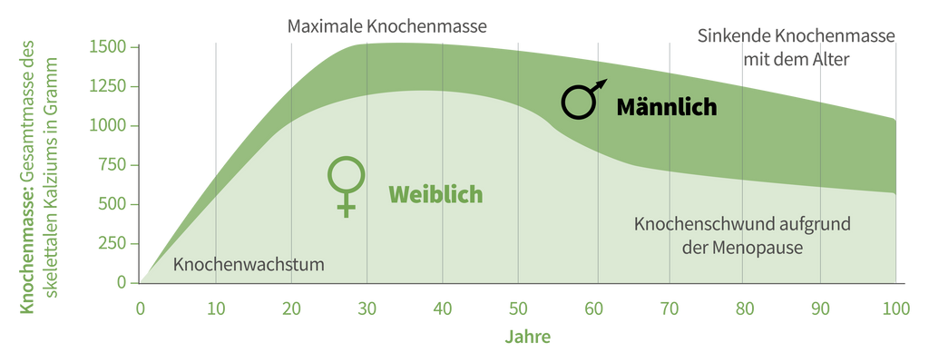 Knochenmasse-im-Alter-zwischen-Männern-und-Frauen