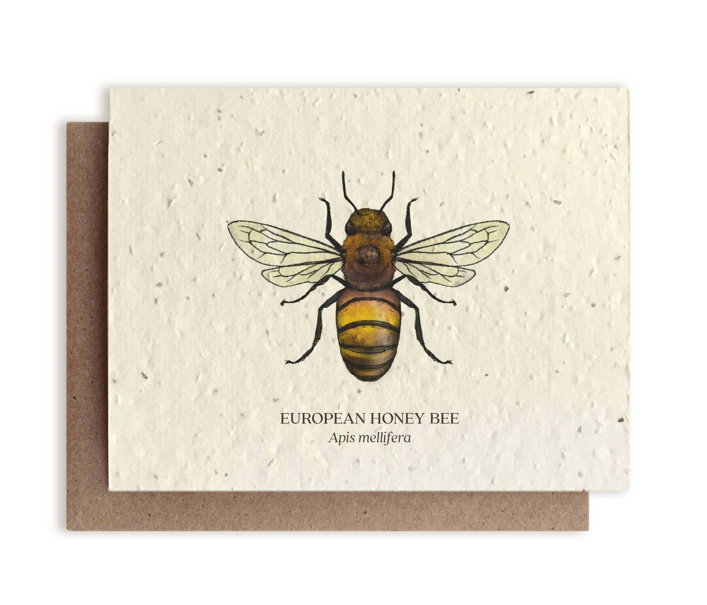 Honey Bee Greeting Cards - Plantable Seed Paper