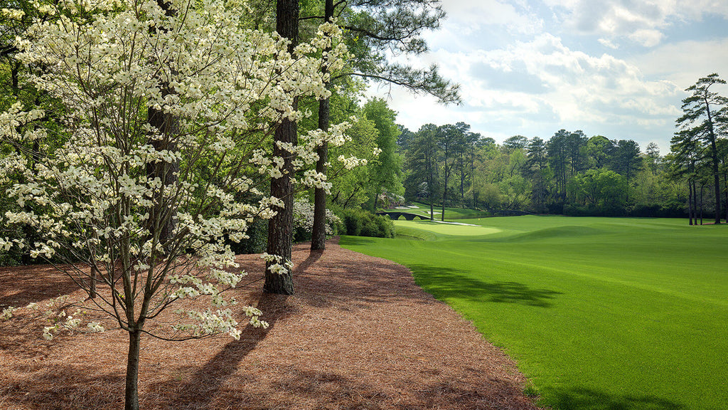 Augusta National Golf Course