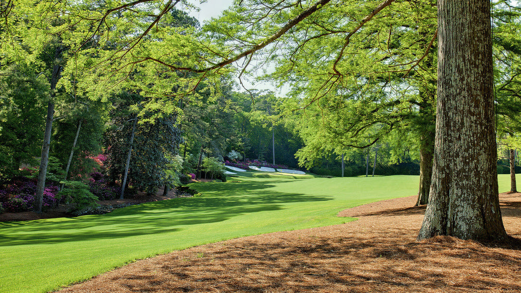 Augusta National Golf Course
