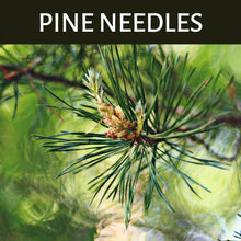 Load image into Gallery viewer, Pine Needles Scented Products
