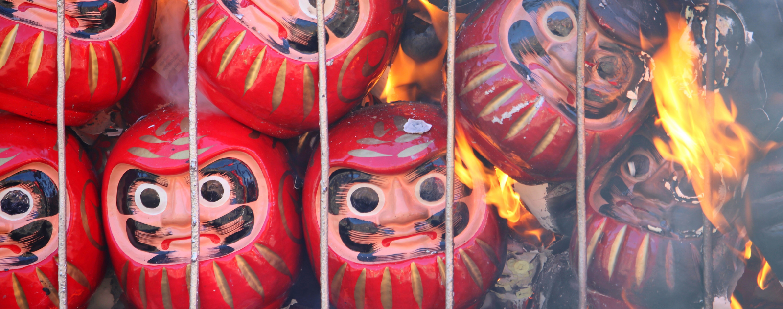 acheter daruma