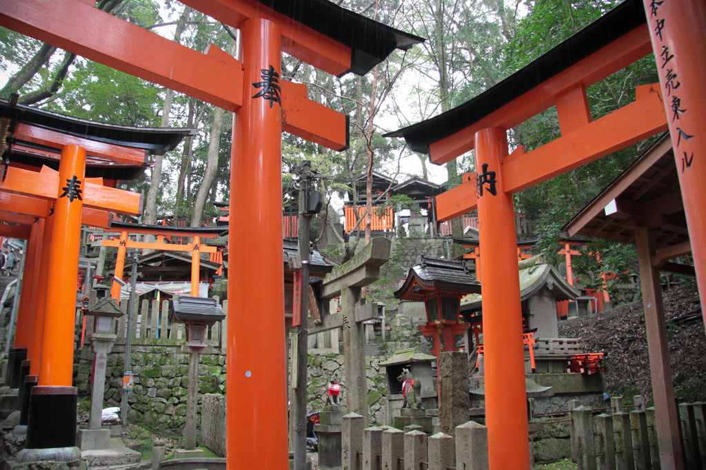 porte torii temple inari
