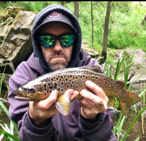Brown-Trout- Adelaide-Hills