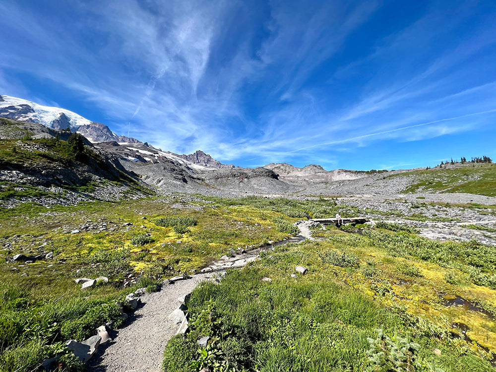 The wildflowers were in full bloom at Mount Ranier National Park