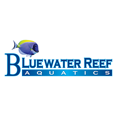 BlueWater Reef
