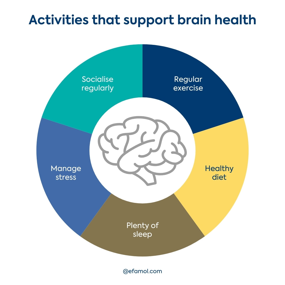 Activities that support brain health Efamol