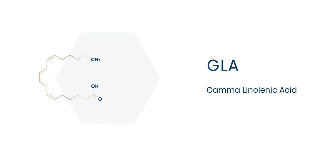 GLA, gamma linolenic acid