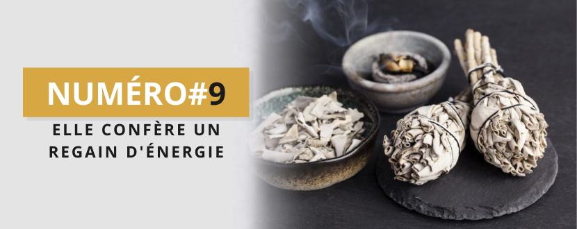 Brûler de la sauge : comment purifier vos bijoux spirituels avec de la sauge  – Karma et Moi