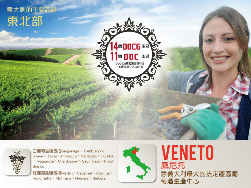 Vulvaia Fume Sauvignon Del Veneto , IGT, 艾瑪酒莊陳年白酒長相思, 買葡萄酒, 白酒, White Wine, Fine Wine Asia, 意大利評分酒, italian red wine, Wine Searcher, 葡萄酒推介, 頂級葡萄酒, 葡萄酒送貨