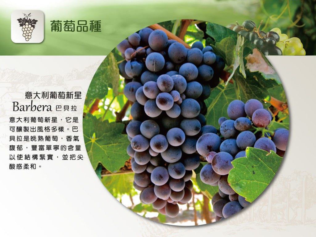 Braida AI Suma Barbera d'Asti, DOCG, 百來達巴貝拉葡萄酒 買紅酒, Red Wine, Fine Wine Asia, 意大利評分酒, italian red wine, Wine Searcher, 紅酒推介, 頂級紅酒, 紅酒送貨