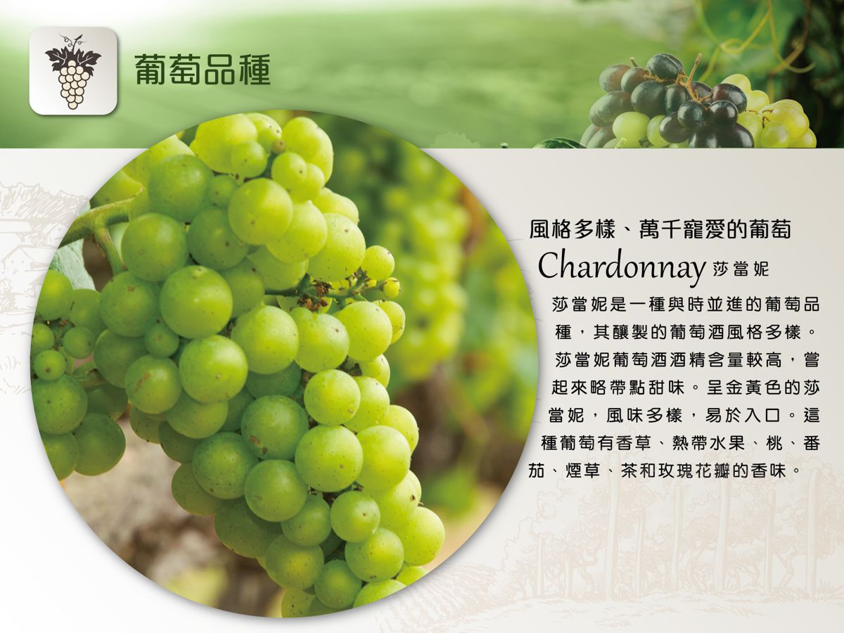  Vigna Traverso Sottocastello Bianco, 特桑奧酒莊葡萄酒, DOC, COF 買白酒, White Wine, Fine Wine Asia, 意大利評分酒, italian red wine, Wine Searcher, 紅酒推介, 頂級紅酒, 紅酒送貨