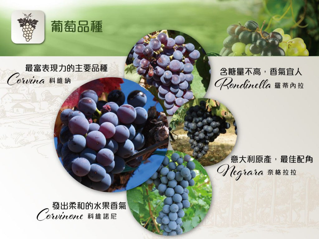 Famiglia Pasqua, AMARONE DELLA Valpolicella DOCG, 意大利東北部酒王, 風乾提子, 買紅酒, Red Wine, Fine Wine Asia, 意大利評分酒, italian red wine, Wine Searcher, 紅酒推介, 頂級紅酒, 紅酒送貨