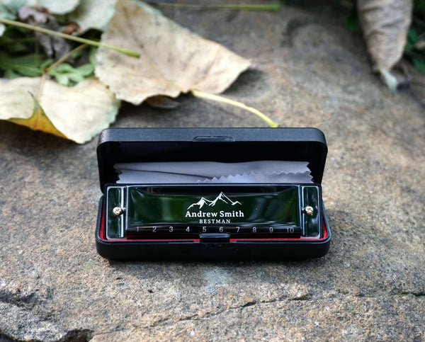 Diatonic Harmonica For Beginners