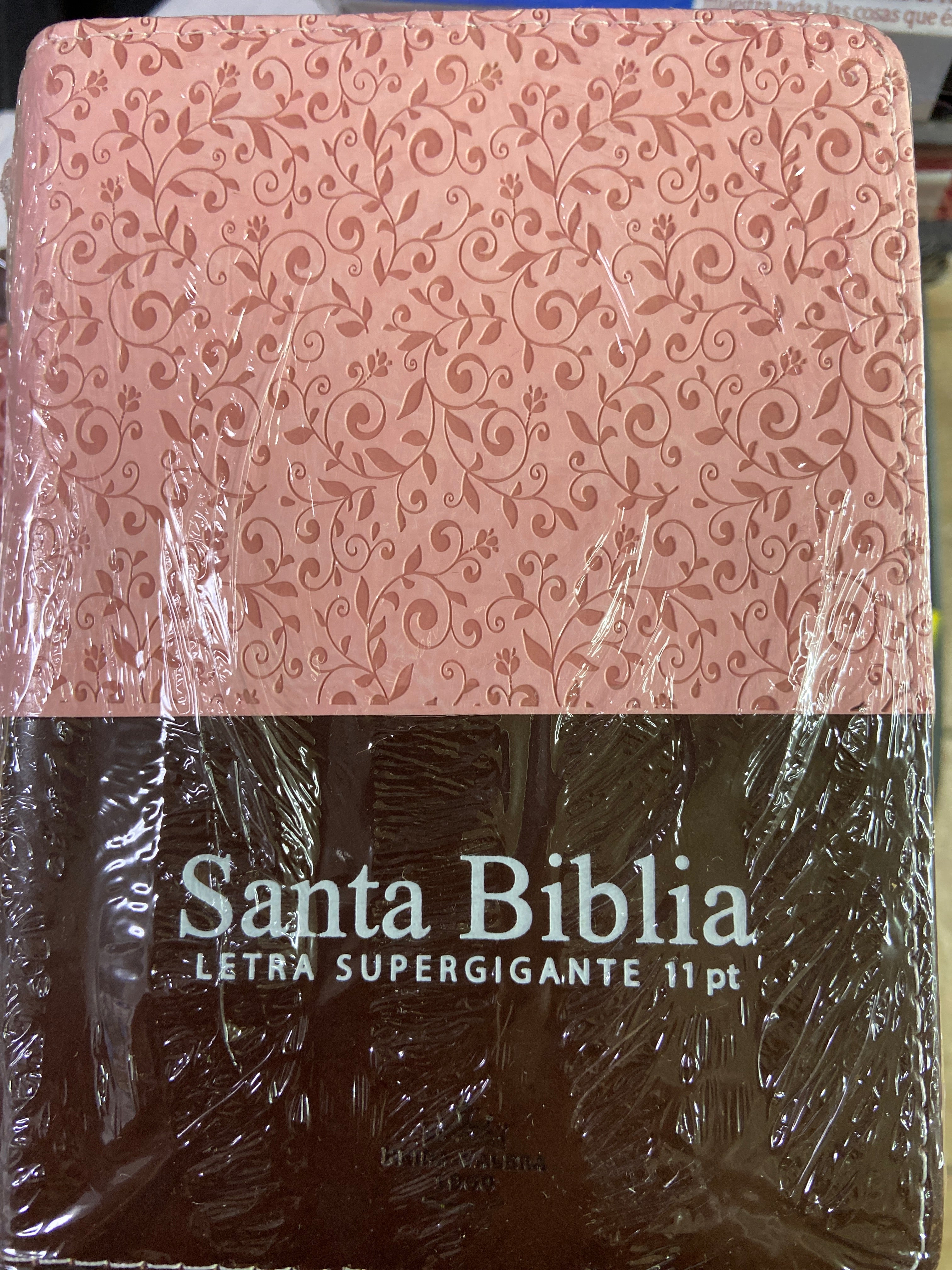 biblia reina valera 1960 letra super grande