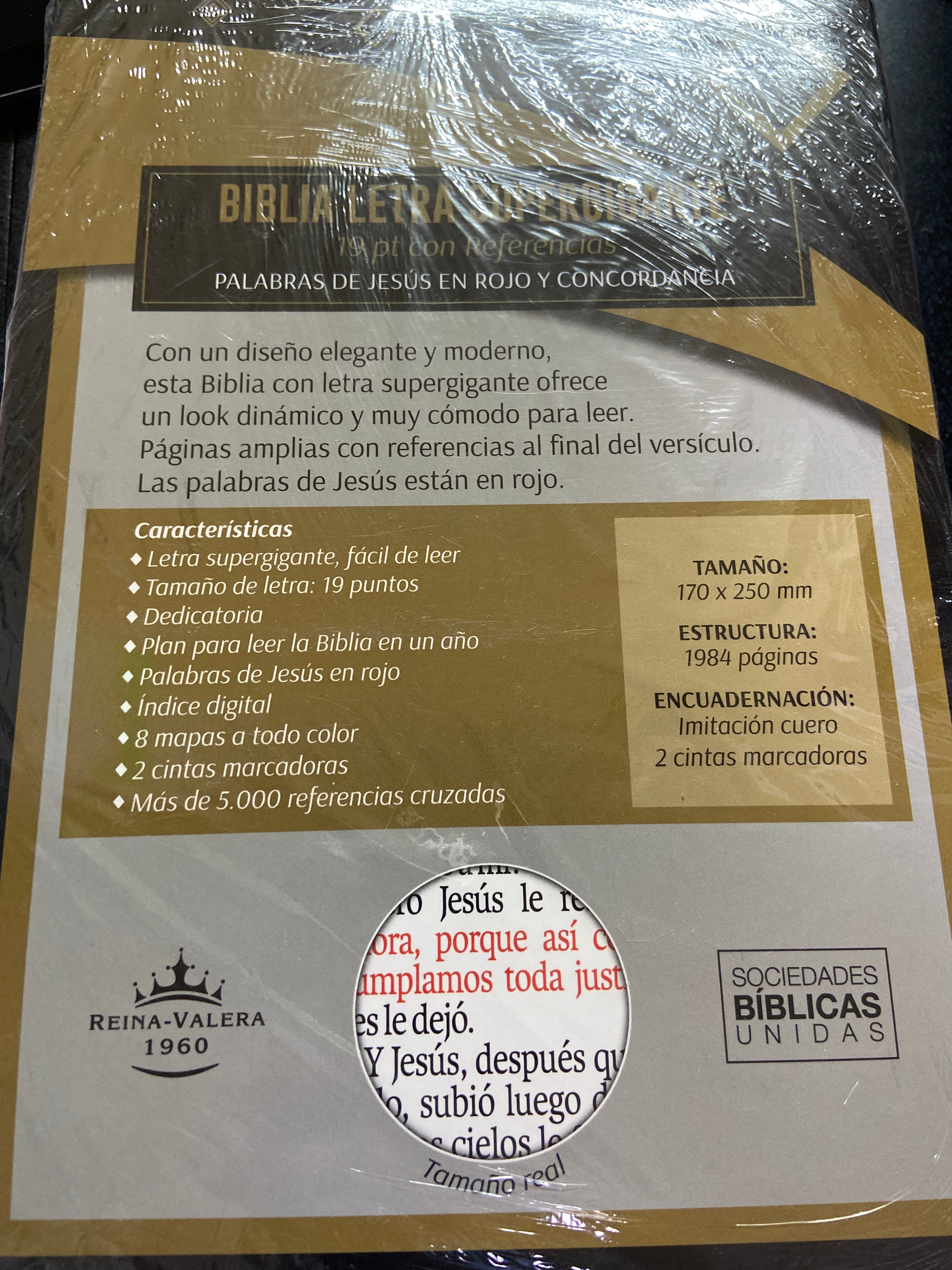 leer la biblia reina valera 1960 en un año