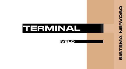 velo-e-terminal-fios