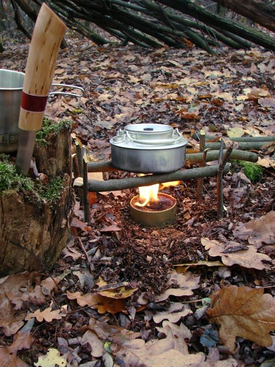 how-to-feed-in-survival