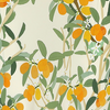 Swatch of color Kumquat - Ivory