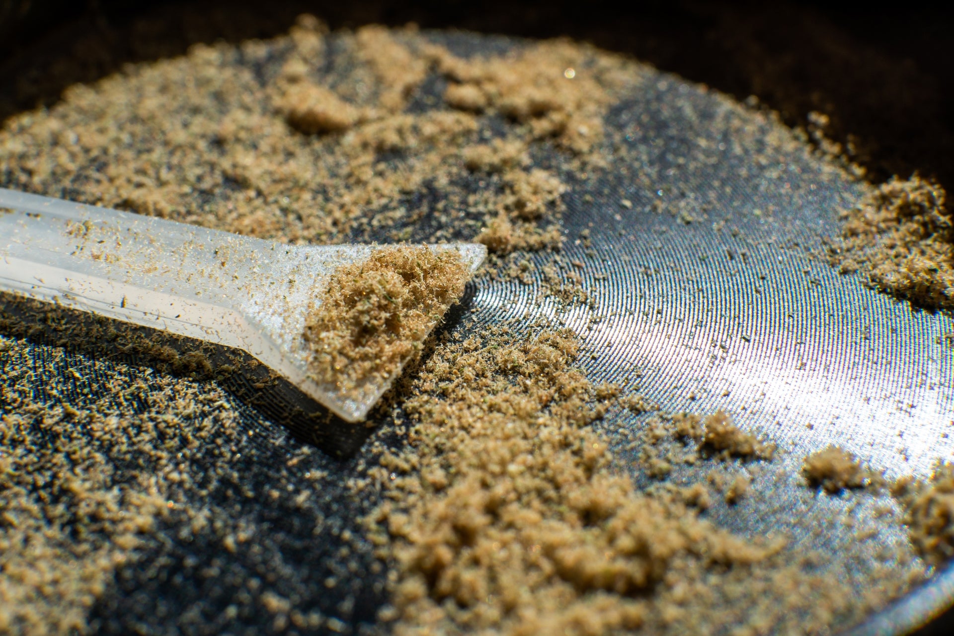 How To Make a Homemade Pollen Press: Step by Step Guide