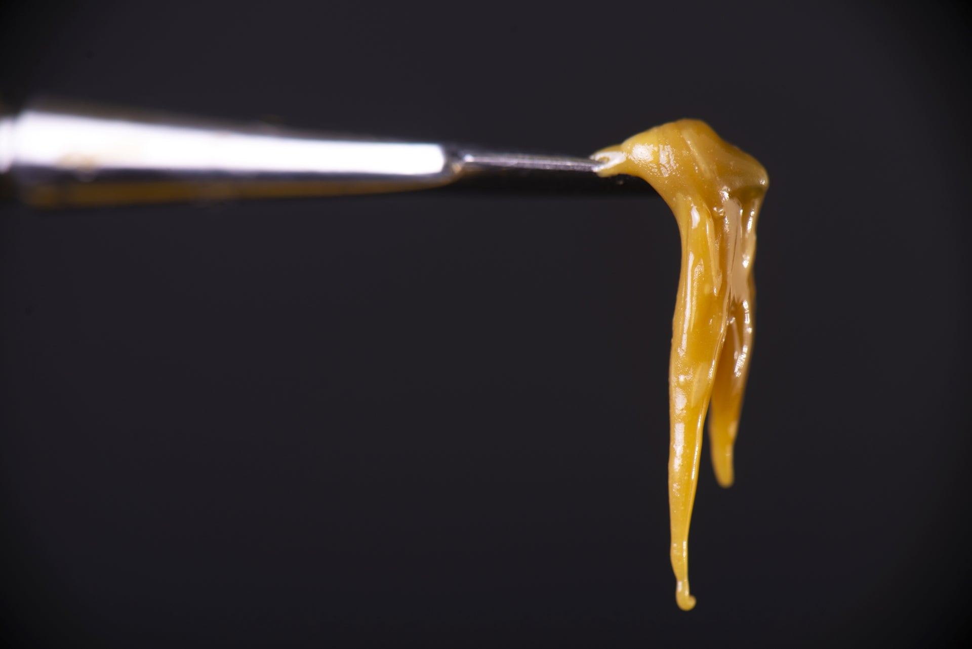 Rosin drips from a dab tool after being made by pressing kief