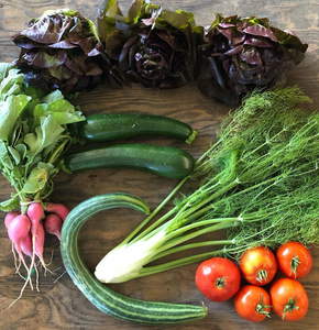 FARM BOX