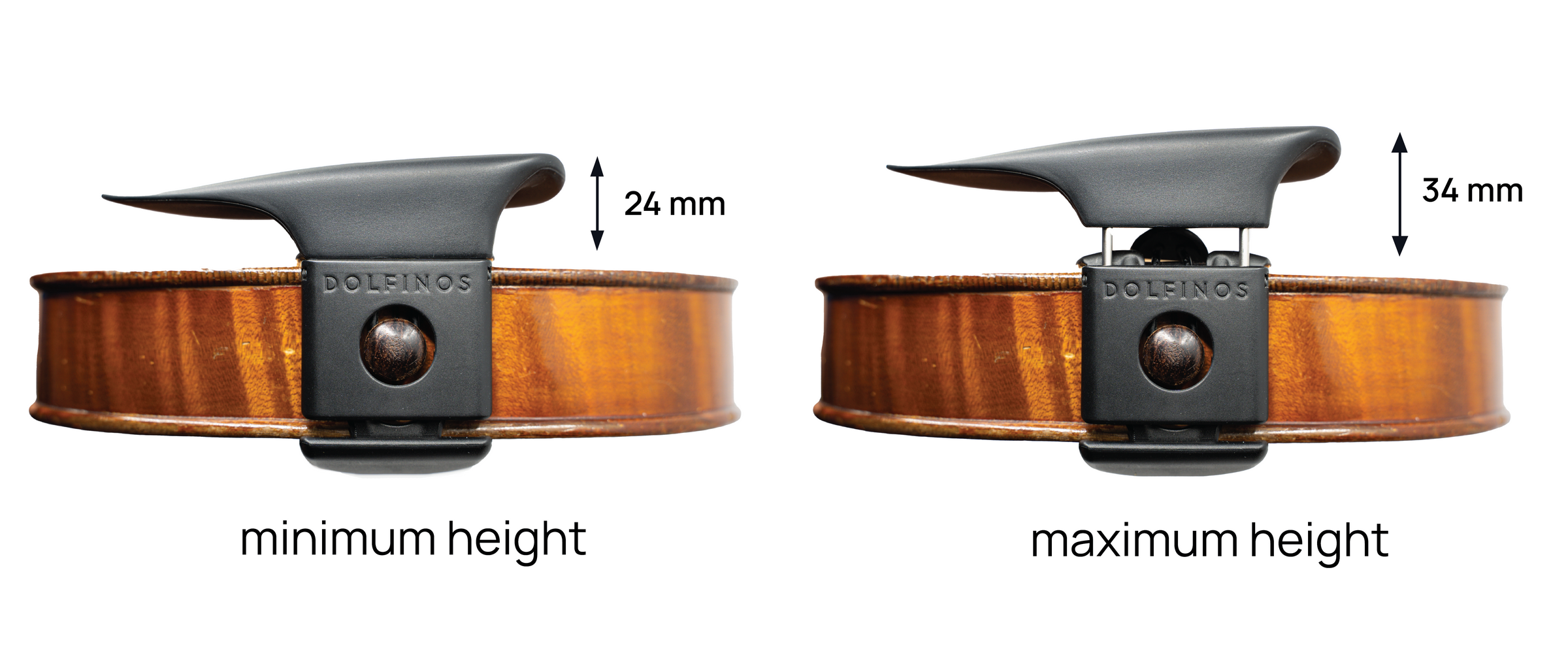 Viola on a dark backdrop