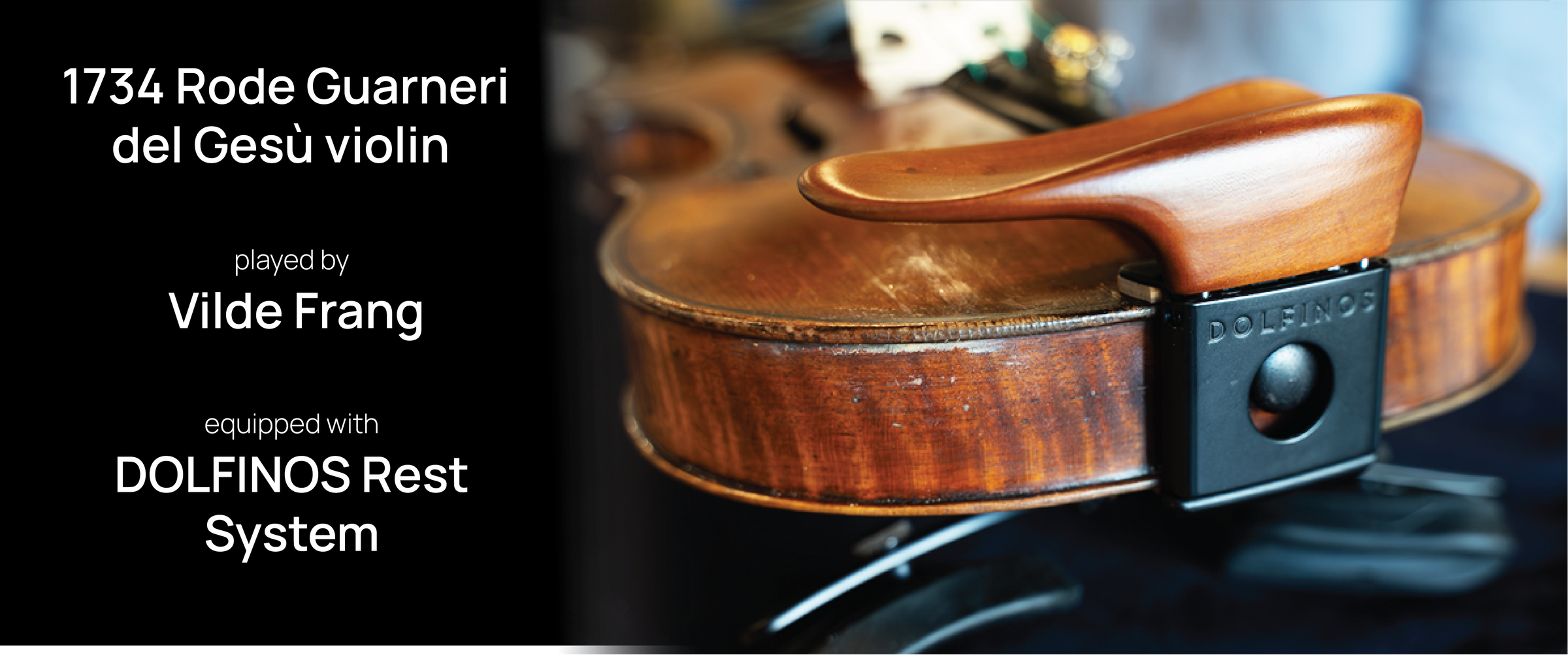 Viola on a dark backdrop