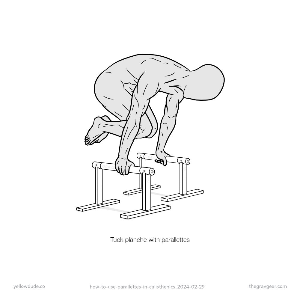 how to use parallettes with tuck planche