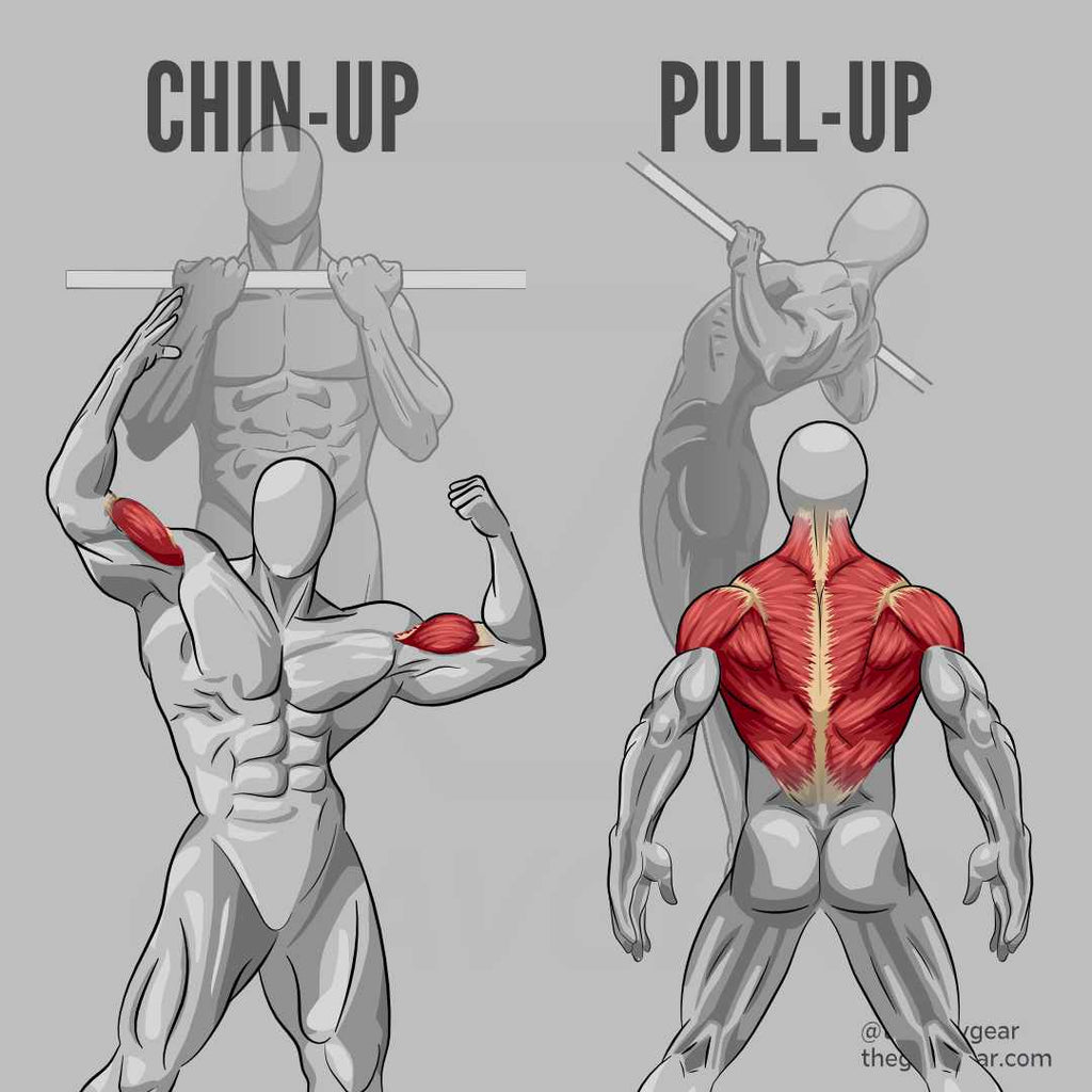 Chin Ups or Pull Ups: How to Choose the Best Upper Body Exercise – Gravgear