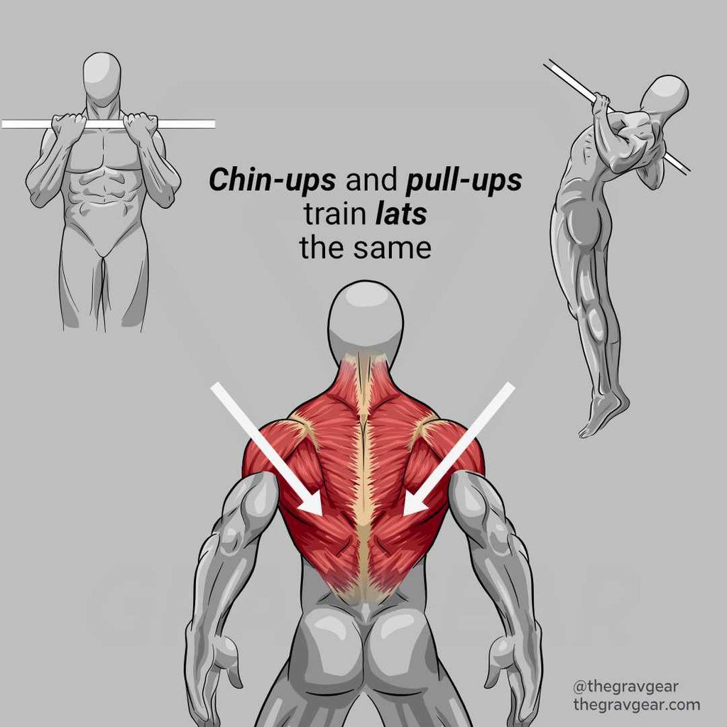 Pull Ups vs. Chin ups - What's the Difference
