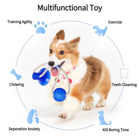 Rubber Chew Ball Toy For Pet