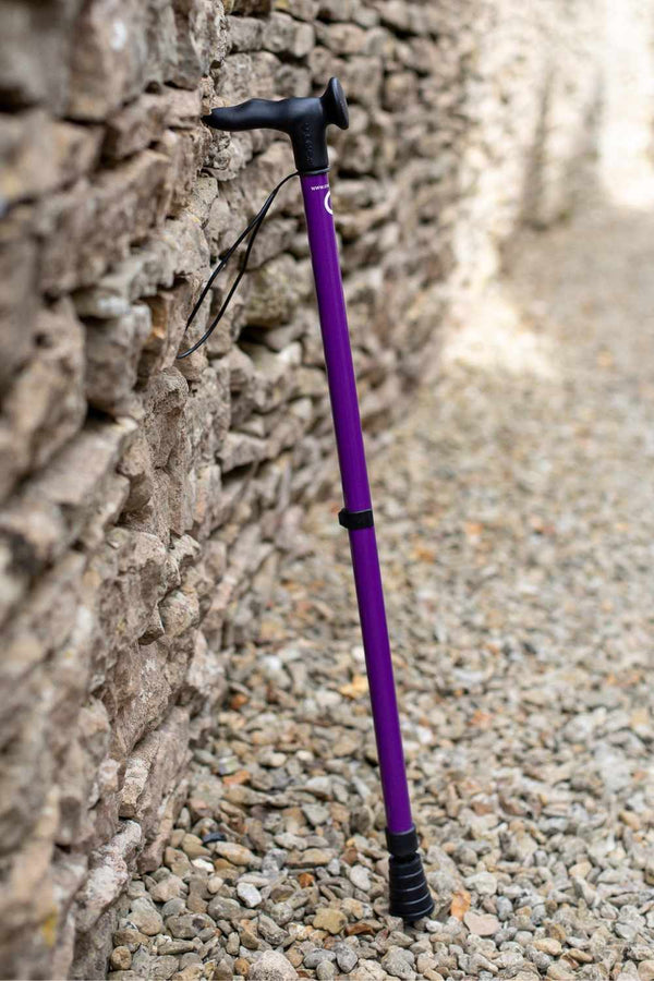 Rainbow Walking Stick  Patterned Walking Sticks – Cool Crutches