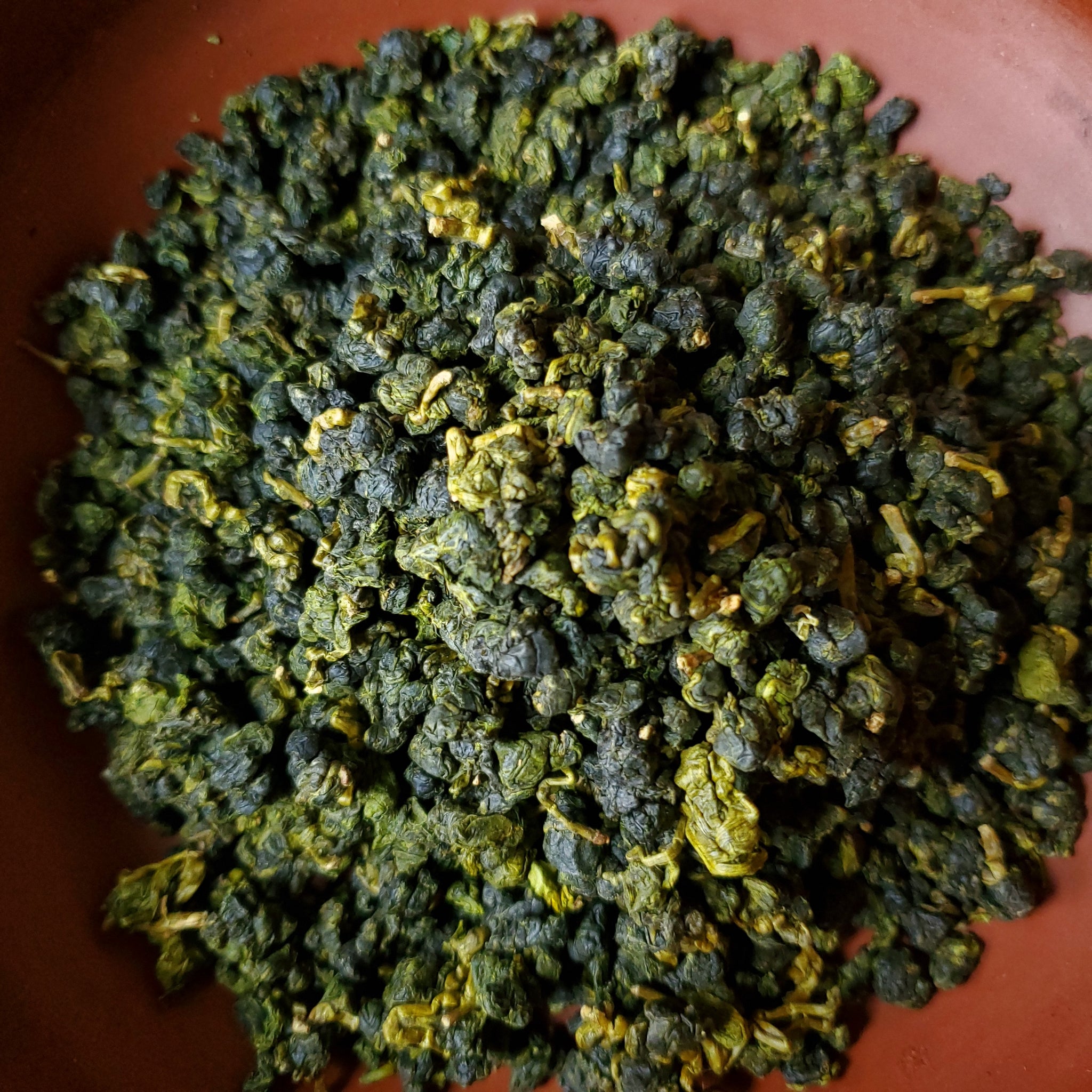 Alishan High Mountain Oolong Tea (Premium)