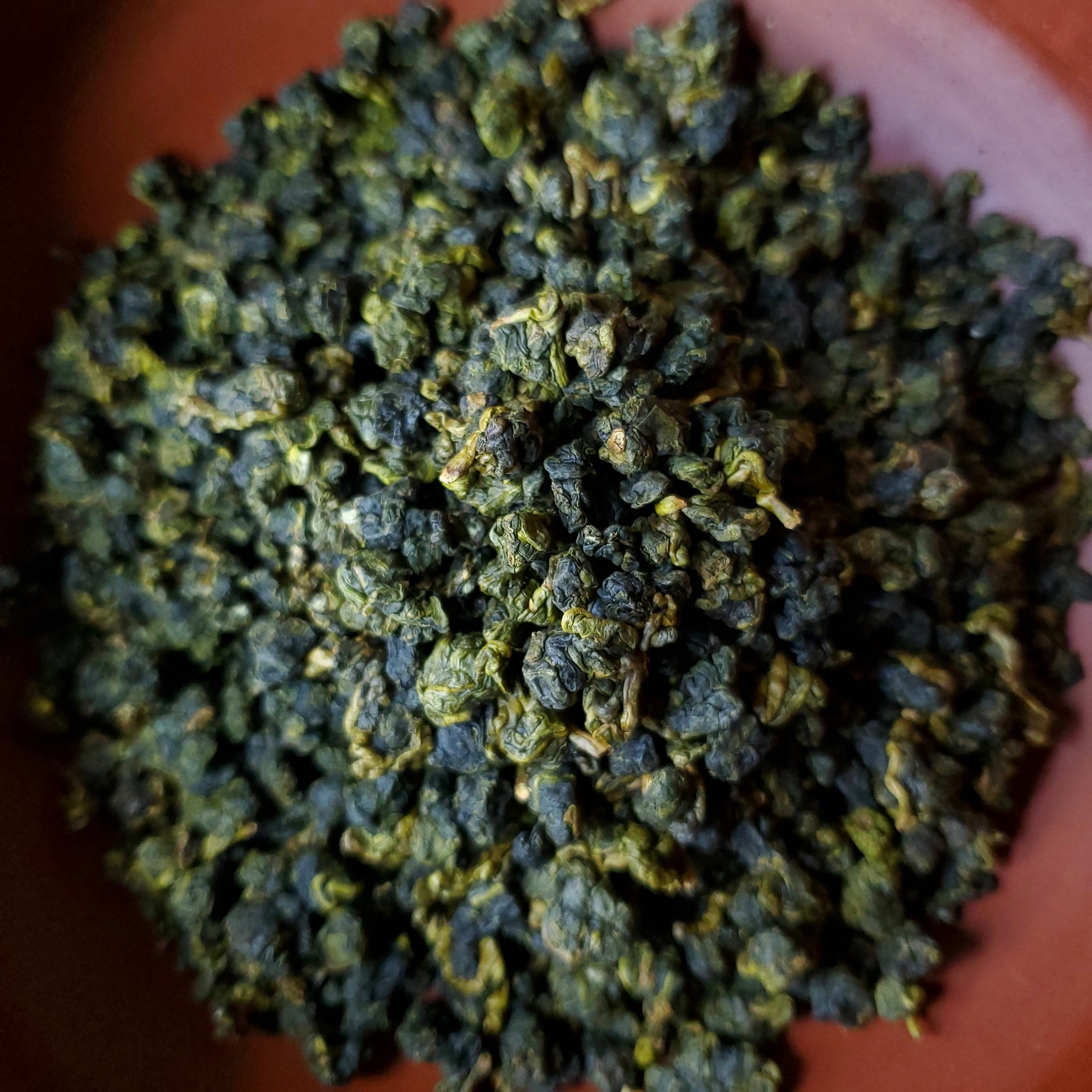 Alishan High Mountain Oolong Tea (Premium)