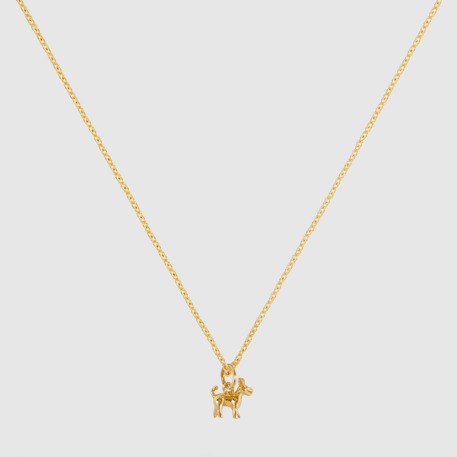 tiny dog necklace