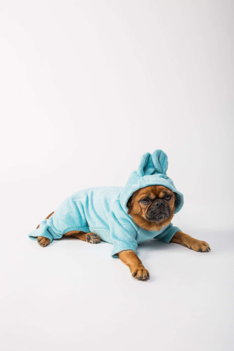 dog onesie