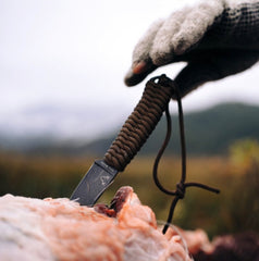 Field 2.0 being used to field dress an Alaskan moose, on a hunting trip. A knife known since its debut in 2020 to be "a go-to knife" for hunters of all skill level.