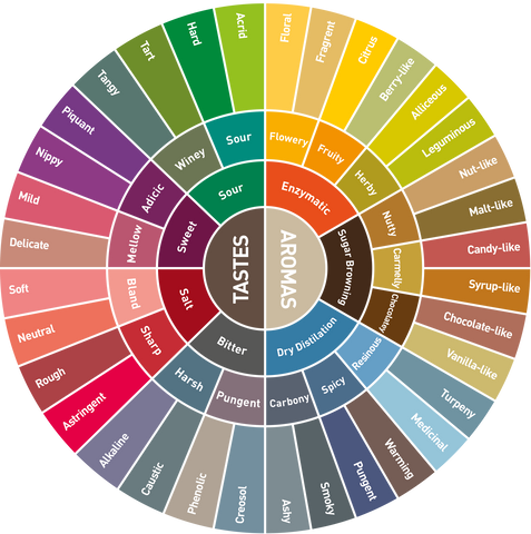 coffee tasting notes explained