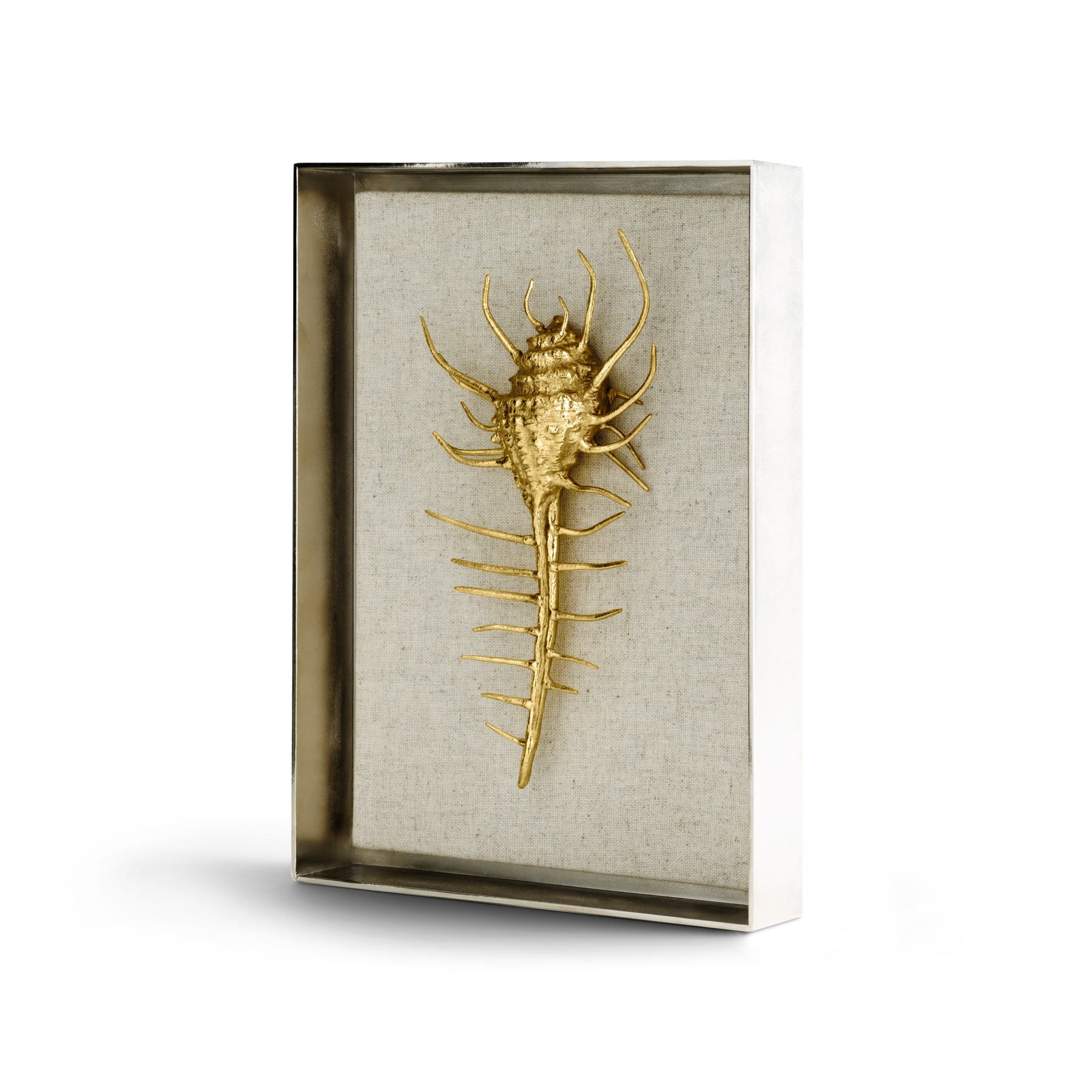 Venus Comb Shell Fabric Shadow Box