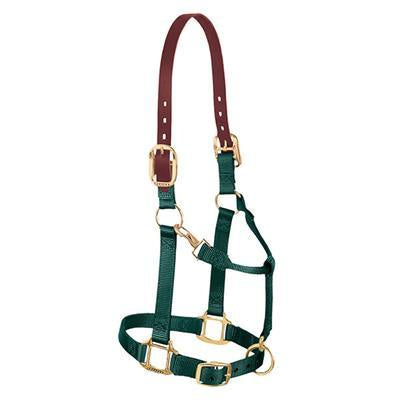 Deluxe 1 Triple Stitched Leather Halter