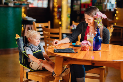 the original easy seat portable high chair